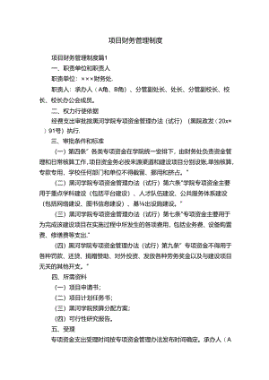 项目财务管理制度.docx