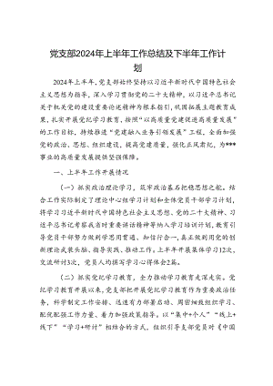 党支部2024年上半年工作总结及下半年工作计划.docx