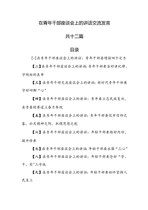 （12篇）在青年干部座谈会上的讲话交流发言.docx