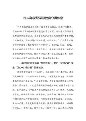 2024年党纪学习教育研讨交流发言十八篇.docx