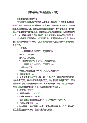 预算绩效自评抽查报告（5篇）.docx