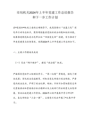 市局机关2024年上半年党建工作总结报告和下一步工作计划.docx