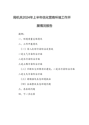 局机关2024年上半年优化营商环境工作开展情况报告.docx