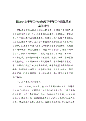 镇2024上半年工作总结及下半年工作计划.docx