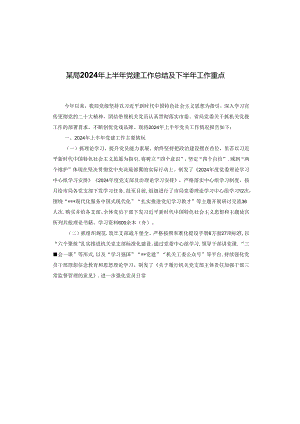某局2024年上半年党建工作总结及下半年工作重点.docx