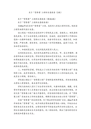 关于“营养餐”工程的自查报告（3篇）.docx