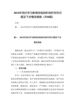 2024年党纪学习教育检视剖析剖析存在问题及下步整改措施11篇供参考.docx