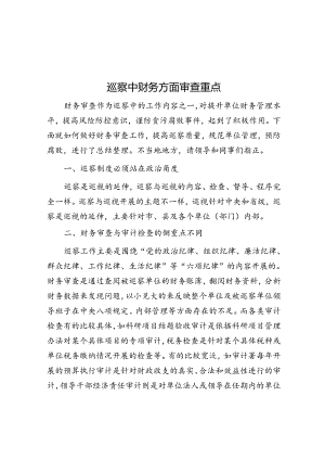 巡察中财务方面审查重点.docx