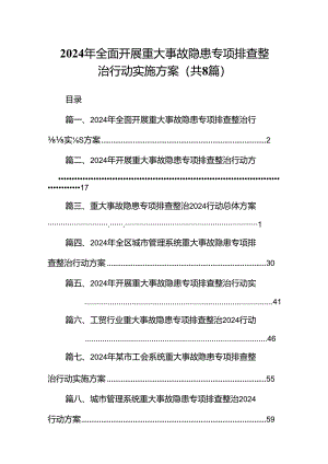 2024年全面开展重大事故隐患专项排查整治行动实施方案8篇（详细版）.docx