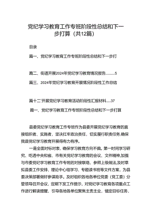 党纪学习教育工作专班阶段性总结和下一步打算(12篇合集）.docx