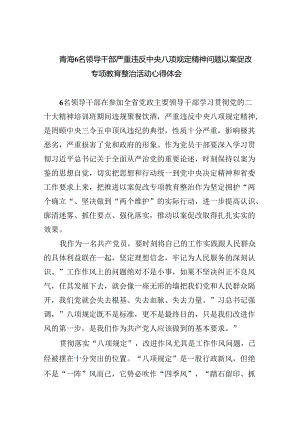 (六篇)青海6名领导干部严重违反中央八项规定精神问题以案促改专项教育整治活动心得体会最新精选.docx