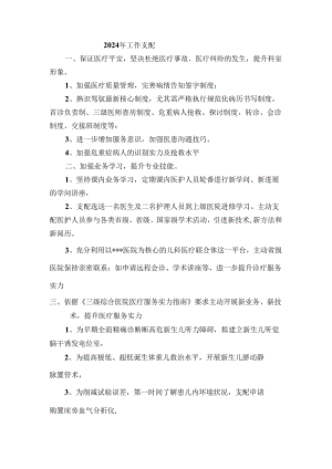 2024年新生儿科工作计划.docx