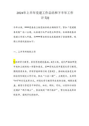 2024年上半年党建工作总结和下半年工作计划.docx