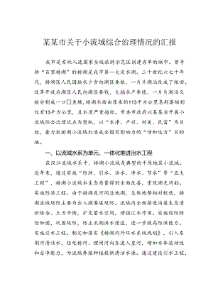某某市关于小流域综合治理情况的汇报.docx