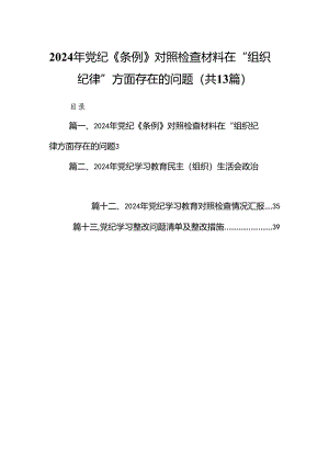 2024年党纪《条例》对照检查材料在“组织纪律”方面存在的问题13篇（详细版）.docx