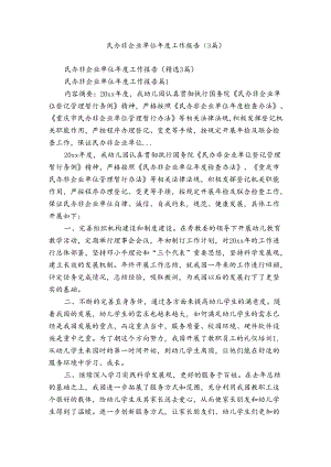 民办非企业单位年度工作报告（3篇）.docx