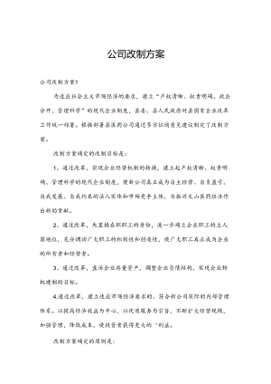 公司改制方案.docx