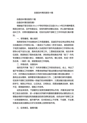 自查自纠情况报告十篇.docx