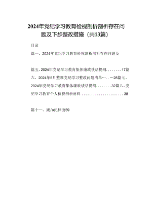 2024年党纪学习教育检视剖析剖析存在问题及下步整改措施13篇（精选版）.docx
