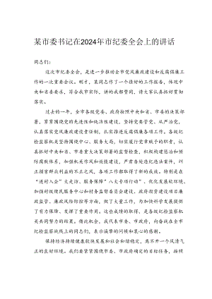某市委书记在2024年市纪委全会上的讲话.docx