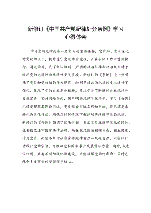 学习2024版《中国共产党纪律处分条例》心得体会九篇.docx