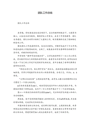 团队工作总结.docx