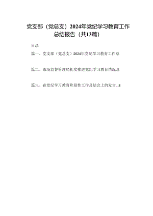 党支部（党总支）2024年党纪学习教育工作总结报告13篇（精选版）.docx