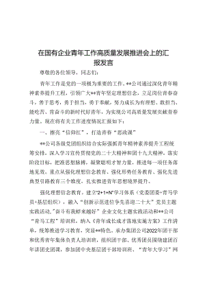 在国有企业青年工作高质量发展推进会上的汇报发言.docx