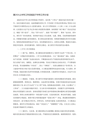 镇2024上半年工作总结及下半年工作计划.docx