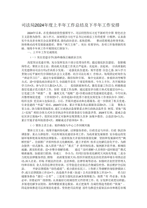 司法局2024年度上半年工作总结及下半年工作安排.docx