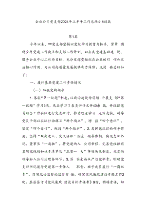 企业公司党支部2024年上半年工作总结小结5篇.docx
