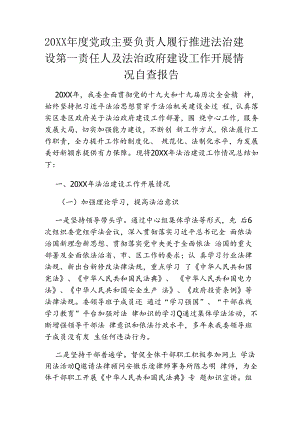 20XX年度党政主要负责人履行推进法治建设第一责任人及法治政府建设工作开展情况自查报告.docx