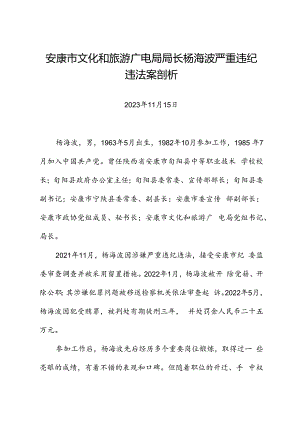 党纪学习教育∣案例剖析：安康市文化和旅游广电局局长杨海波严重违纪违法案剖析.docx