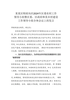 某某区财政局在2024年区委农村工作领导小组暨区委、区政府和美乡村建设工作领导小组全体会议上的发言.docx