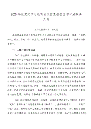 2024年度党纪学习教育阶段自查报告含学习成效共九篇.docx