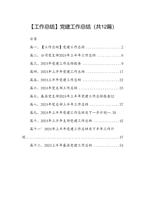 【工作总结】党建工作总结12篇（精选）.docx
