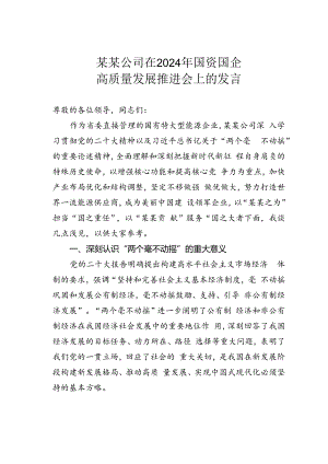 某某公司在2024年国资国企高质量发展推进会上的发言.docx