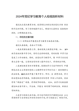 2024年党纪学习教育对照检视剖析检查发言材料十篇.docx