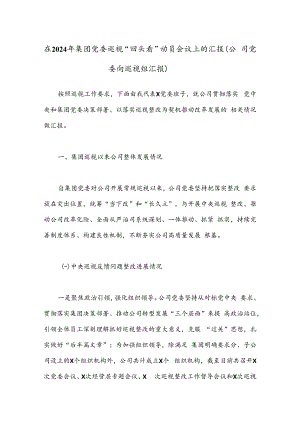 在2024年集团党委巡视“回头看”动员会议上的汇报（公司党委向巡视组汇报）.docx