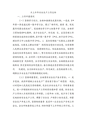 乡上半年安全生产工作总结.docx