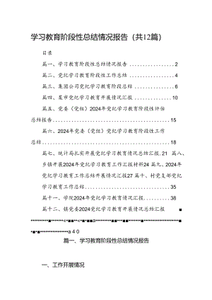学习教育阶段性总结情况报告12篇（精选）.docx