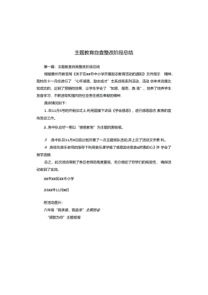 主题教育自查整改阶段总结.docx