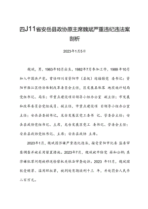 党纪学习教育∣案例剖析：四川省安岳县政协原主席魏斌严重违纪违法案剖析.docx