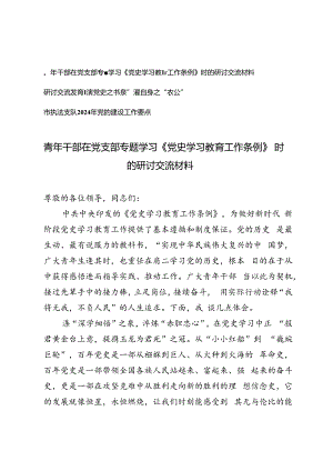 4篇 青年干部在党支部专题学习《党史学习教育工作条例》时的研讨交流材料+市执法支队2024年党的建设工作要点.docx