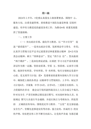 党委党支部2024年度上半年工作总结9篇.docx