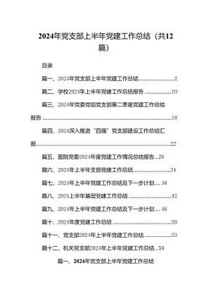 2024年党支部上半年党建工作总结范文精选(12篇).docx
