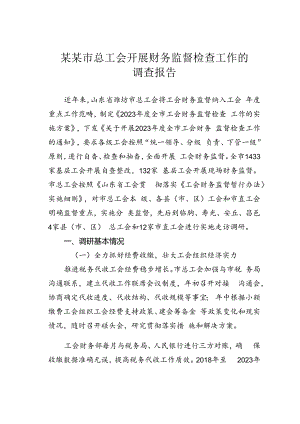 某某市总工会开展财务监督检查工作的调查报告.docx