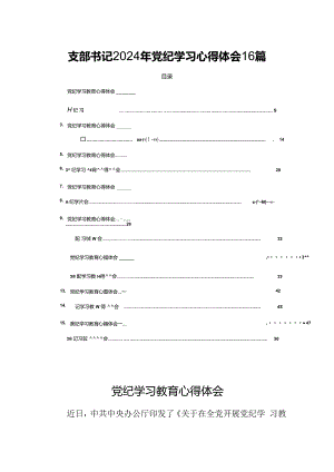 支部书记2024年党纪学习心得体会16篇.docx