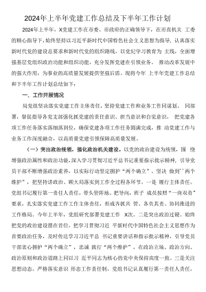 2024年上半年党建工作总结及下半年工作计划.docx