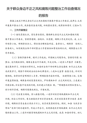 关于群众身边不正之风和腐败问题整治工作自查情况的报告.docx
